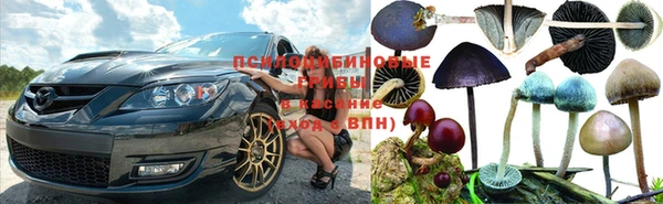 гидра Лихославль