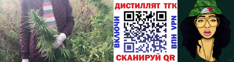 Купить где  Холмск  ТГК вейп 